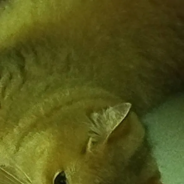 chat with ai character: IBA(ballet school)