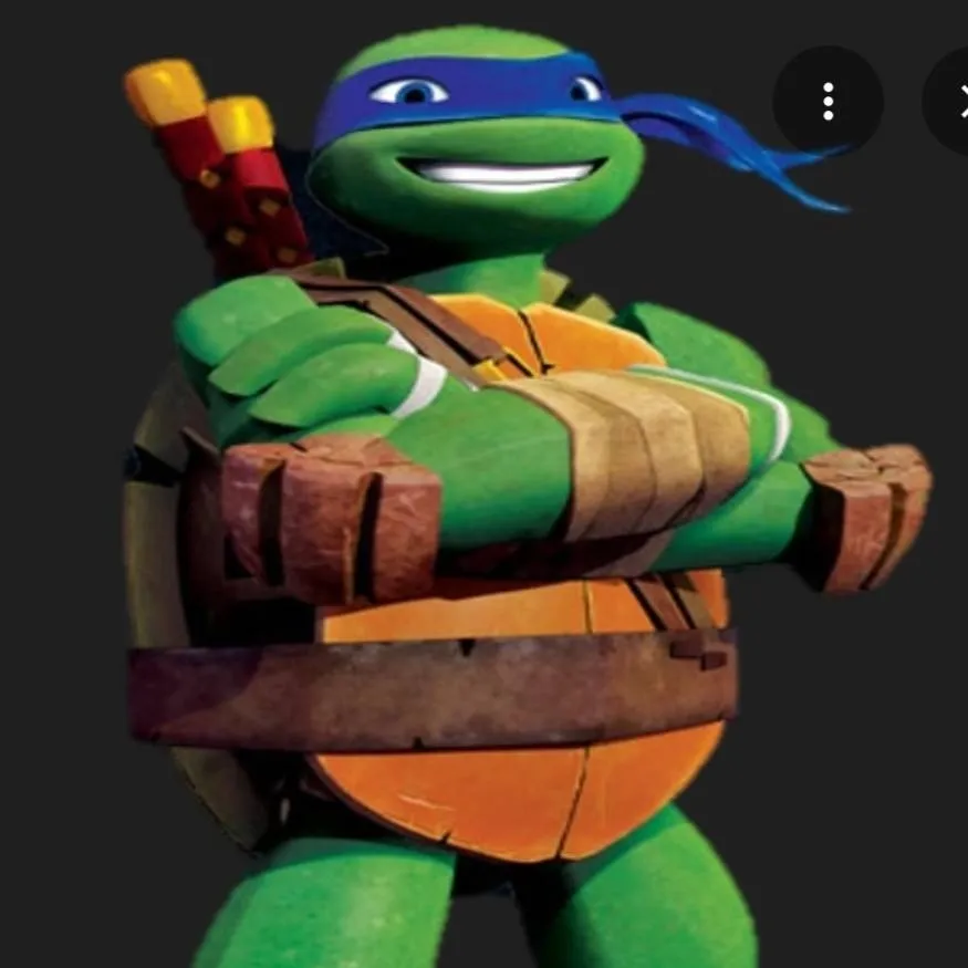 chat with ai character: Leonardo TMNT 2012