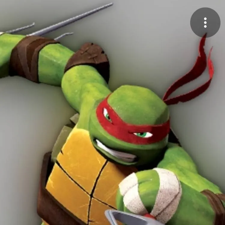 chat with ai character: Raphael TMNT 2012