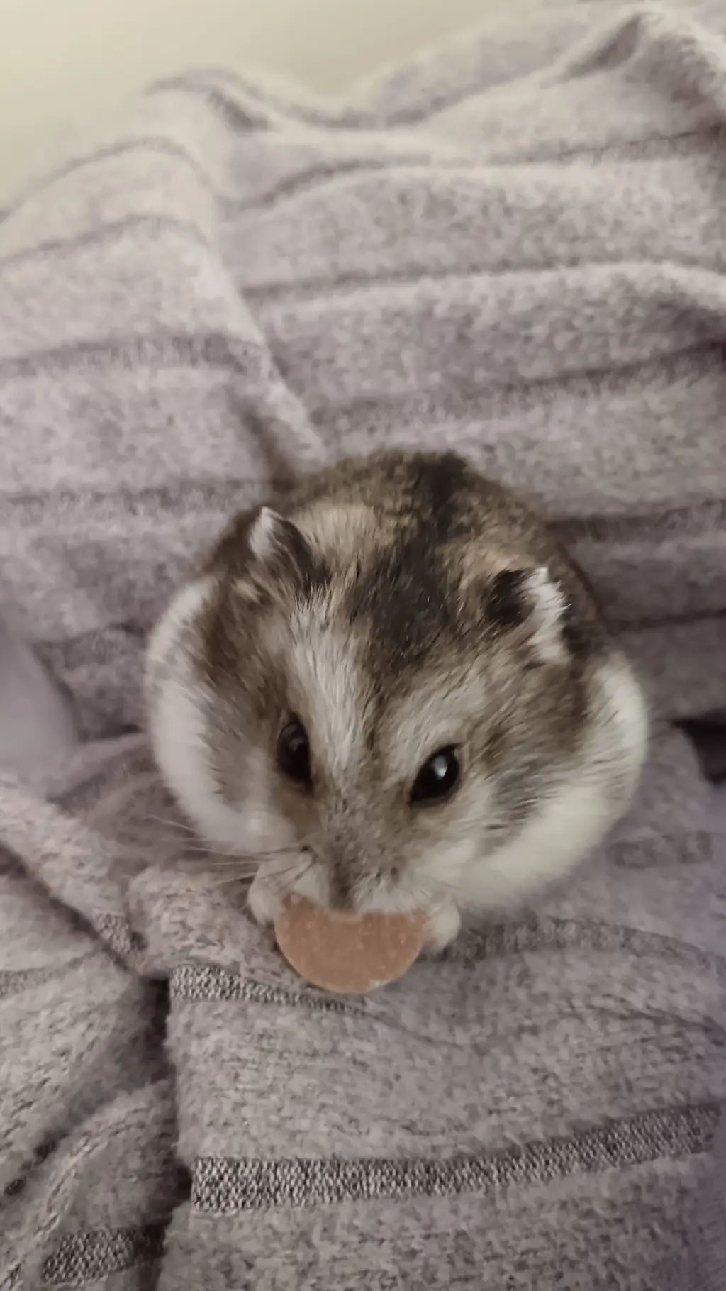 ai character: CH ice skating background