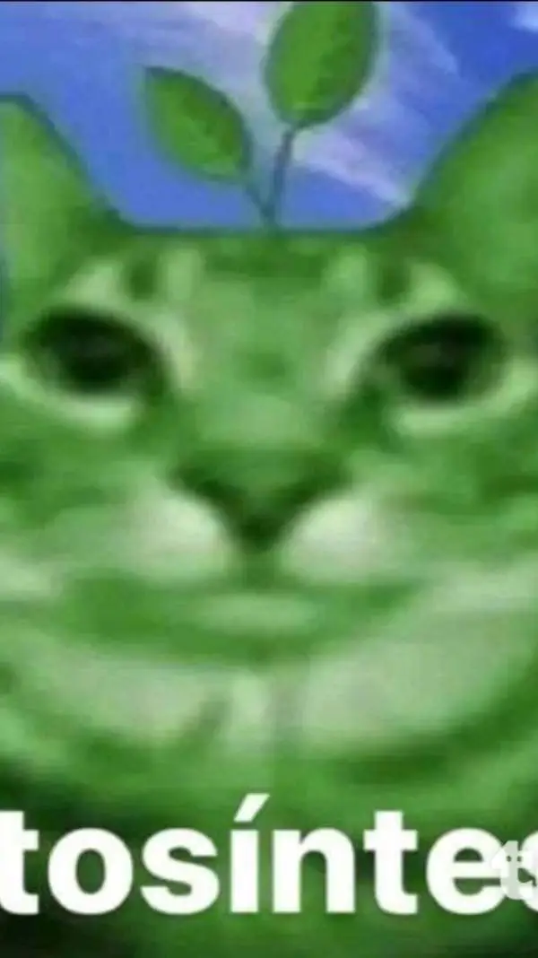ai character: Gato fotosíntesis background