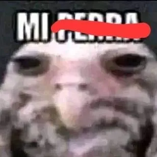chat with ai character: Mi p#rra reacción