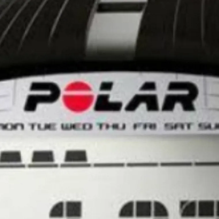 chat with ai character: Polar FTI.