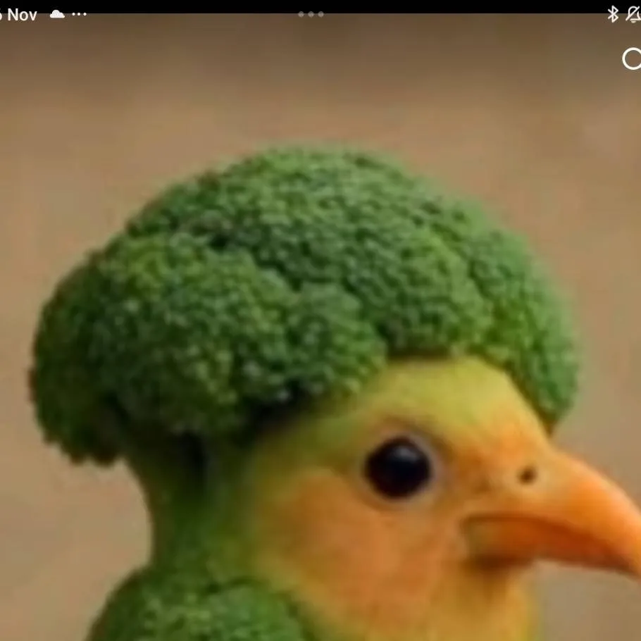 chat with ai character: gingobalo gingobal