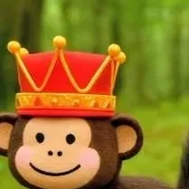 chat with ai character: racooni jandelini