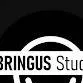 chat with ai character: bringus 