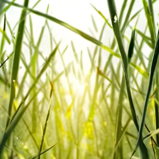 chat with ai character: Grass