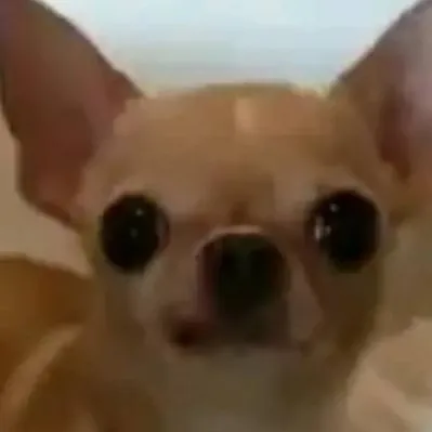 chat with ai character: Tu mascota