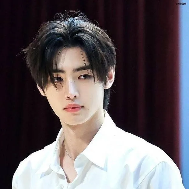 chat with ai character: ʚɞPark Sunghoon࿐ೄྀ