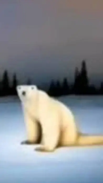 ai character: медведь2026 background