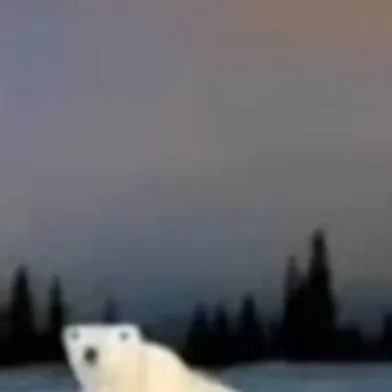 chat with ai character: медведь2026