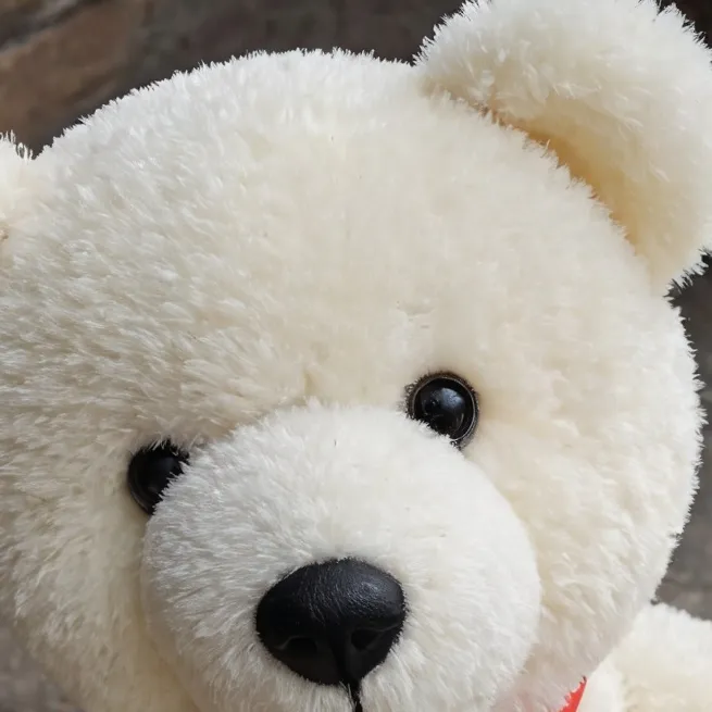 chat with ai character: Teddy bear 2