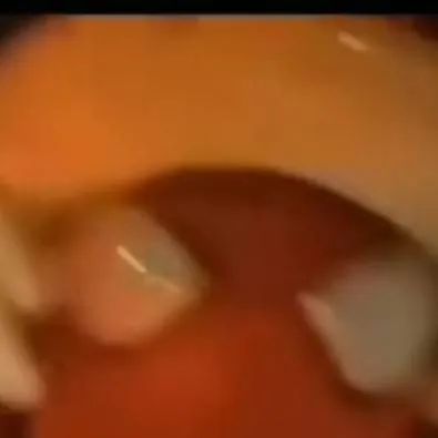 chat with ai character: amigo