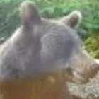 chat with ai character: 221953gf 