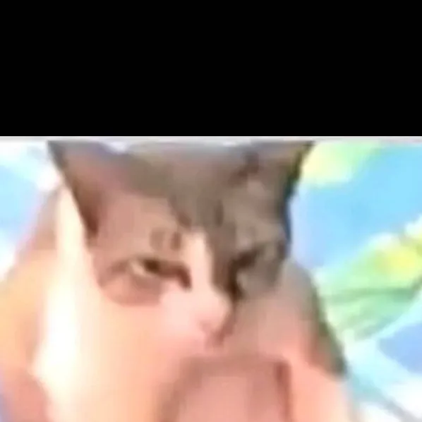 chat with ai character: Man idk 