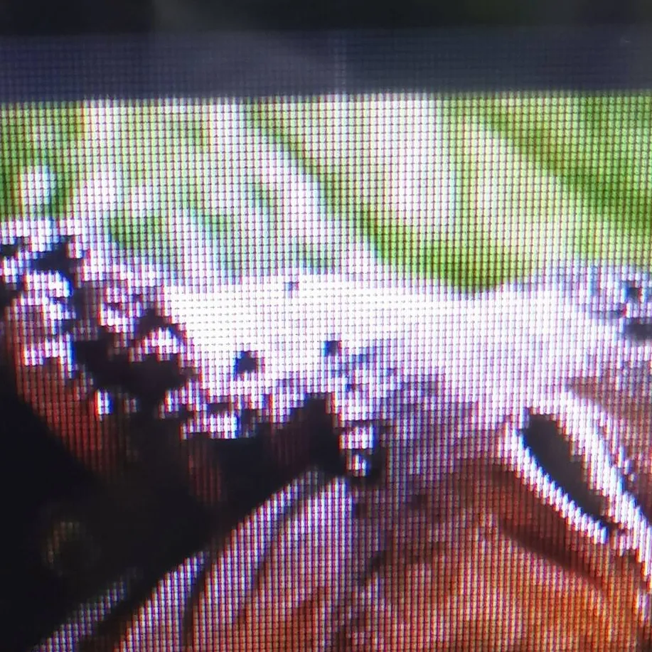 chat with ai character: Dino baby