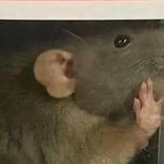 chat with ai character: Remy