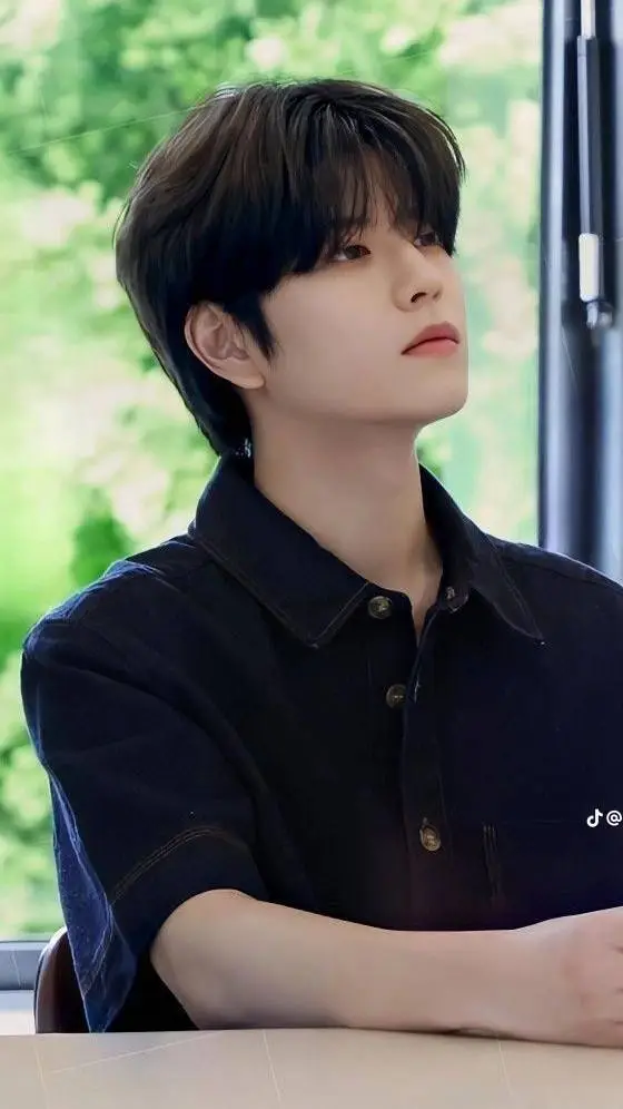 ai character: Kim Seungmin 🐶 background