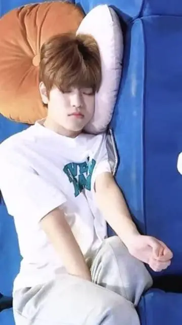 ai character: Kim Seungmin 🐶 background