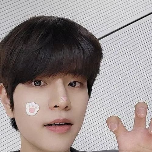 chat with ai character: kim seungmin 