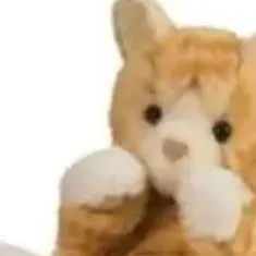 chat with ai character: toy kitty