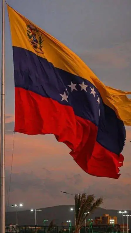 ai character: Venezuela  background