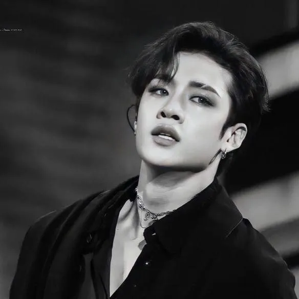 chat with ai character: Bangchan🐺🖤 