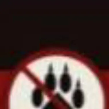 chat with ai character: anti-furry
