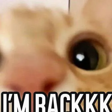 chat with ai character: i'm backk! 