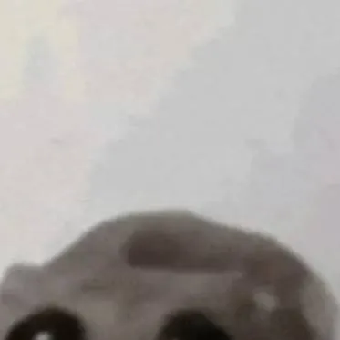 chat with ai character: Db x your anime