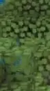 ai character: Jake f****** stupi background