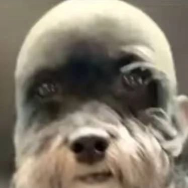 chat with ai character: childhood friend 