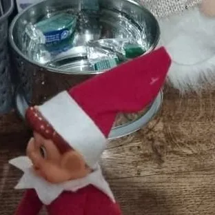 chat with ai character: elf on the shelf