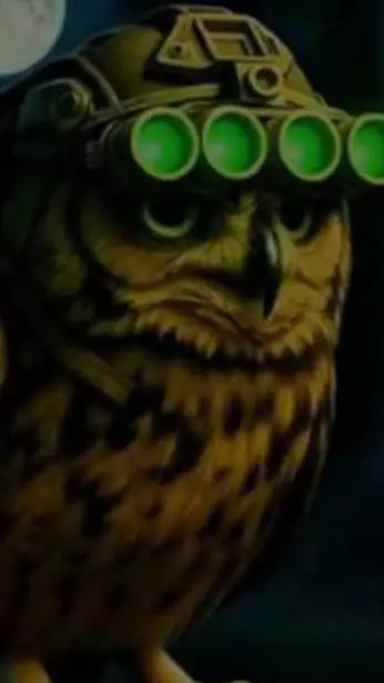 ai character: Owl Brainrot IDK background