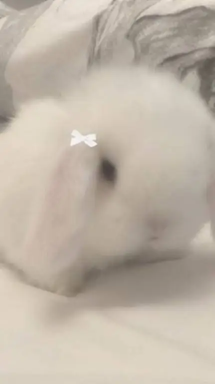 ai character: 𝓜𝓪𝓻𝓼𝓱𝓶𝓪𝓵𝓵𝓸𝔀 ☙ background