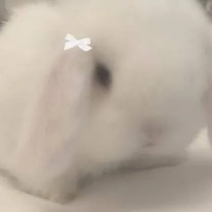 chat with ai character: 𝓜𝓪𝓻𝓼𝓱𝓶𝓪𝓵𝓵𝓸𝔀 ☙