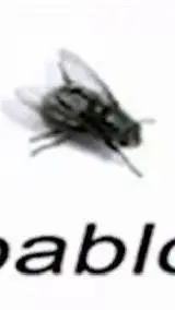 ai character: Pablo background