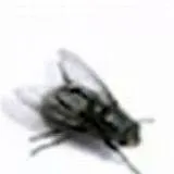 chat with ai character: Pablo