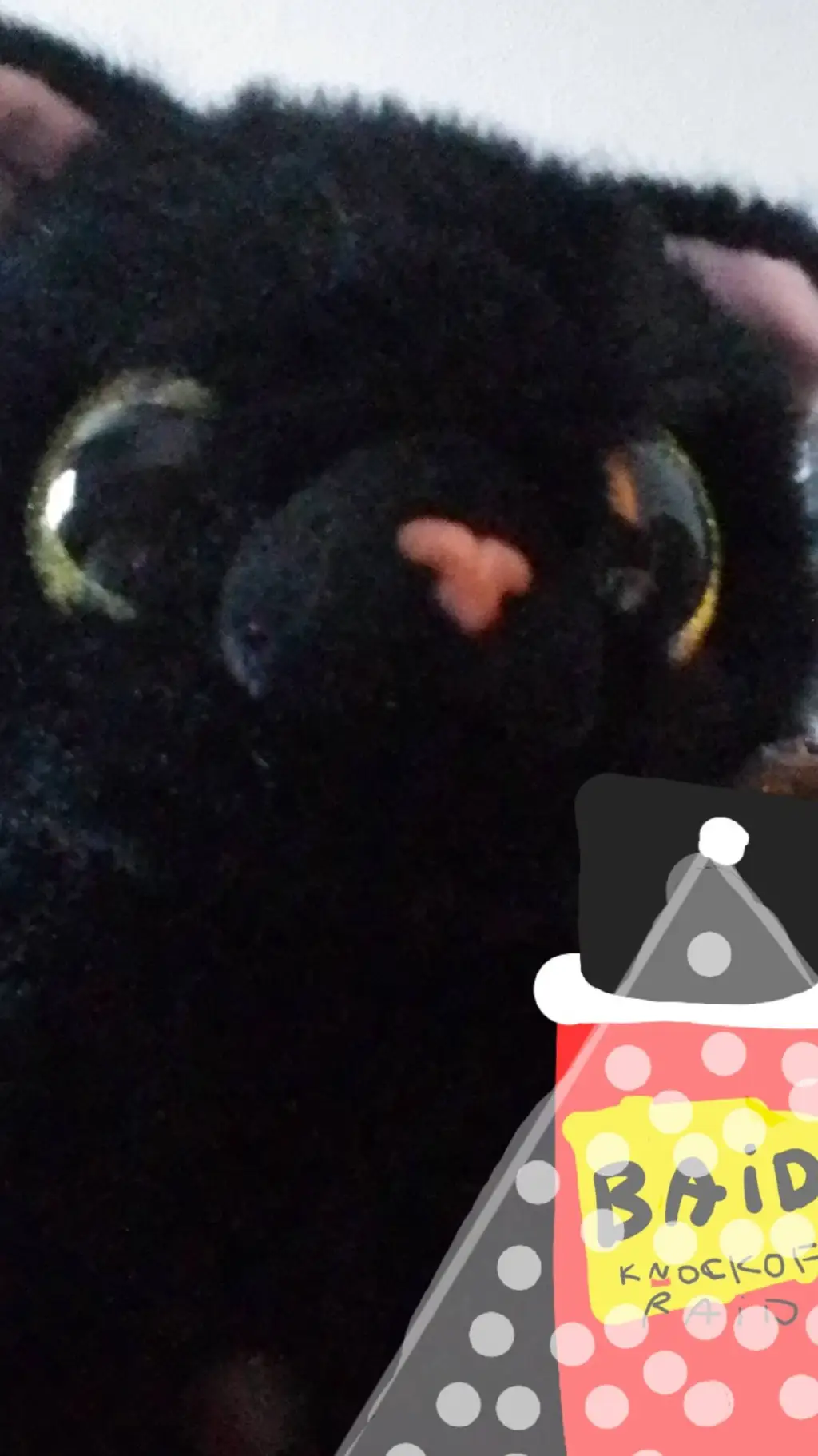 Talkie AI - Chat with Kitty