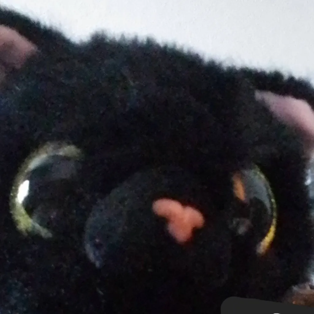 chat with ai character: Kitty