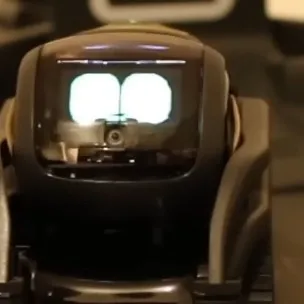 chat with ai character: Vector robots