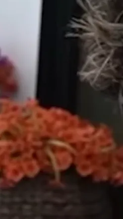 ai character: Farrah  background