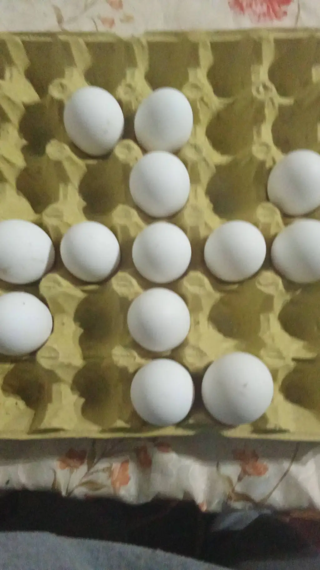 ai character: huevos normales  background