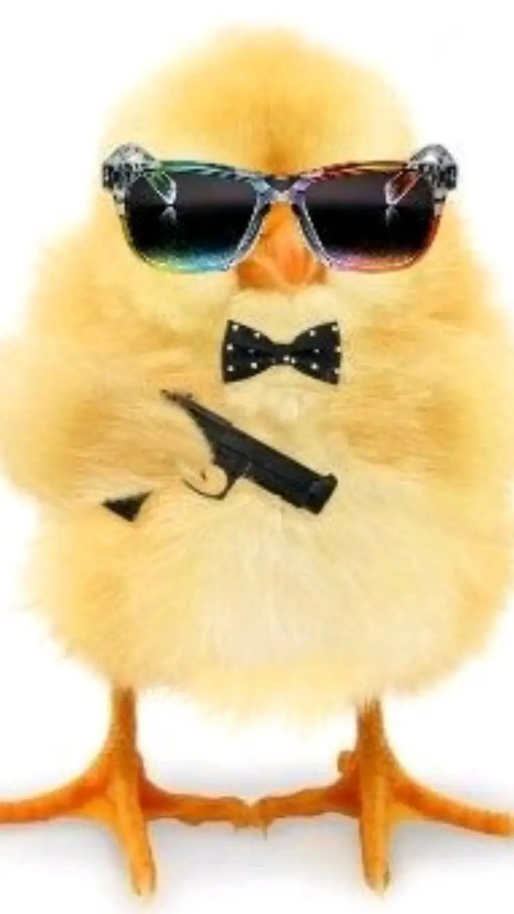 ai character: swguestrada bakugo background