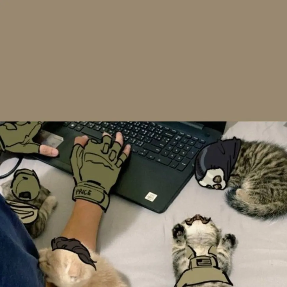 chat with ai character: Cod-Warrior cats