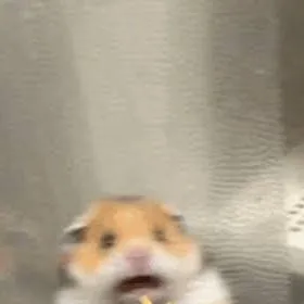 chat with ai character: Kpdh x Sprunki 