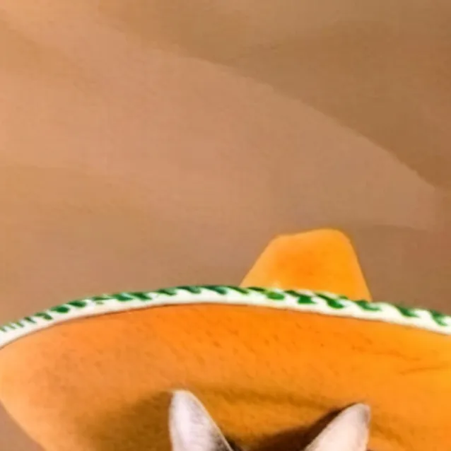 chat with ai character: gato mexicano