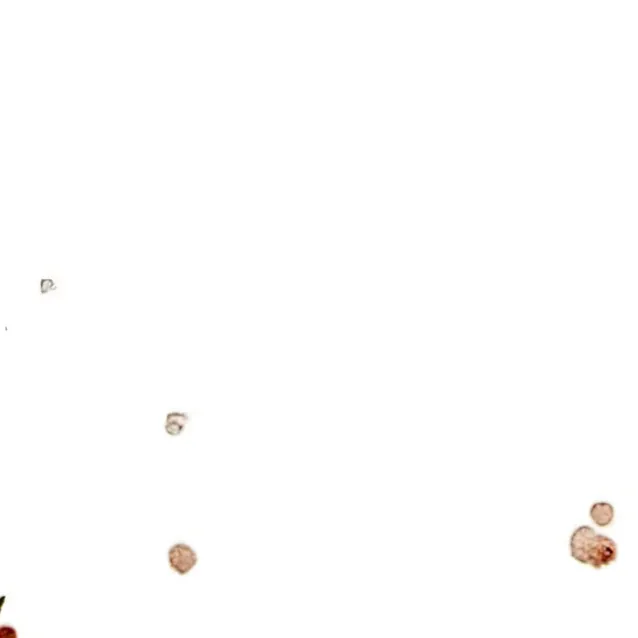 chat with ai character: sofia