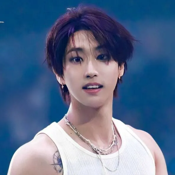 chat with ai character: 𝗛𝗮𝗻 𝗷𝗶𝘀𝘂𝗻𝗴