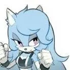 chat with ai character: Sonic new member
